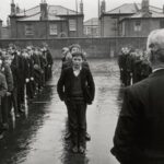 ¿Por qué los punks ingleses no iban a la universidad?