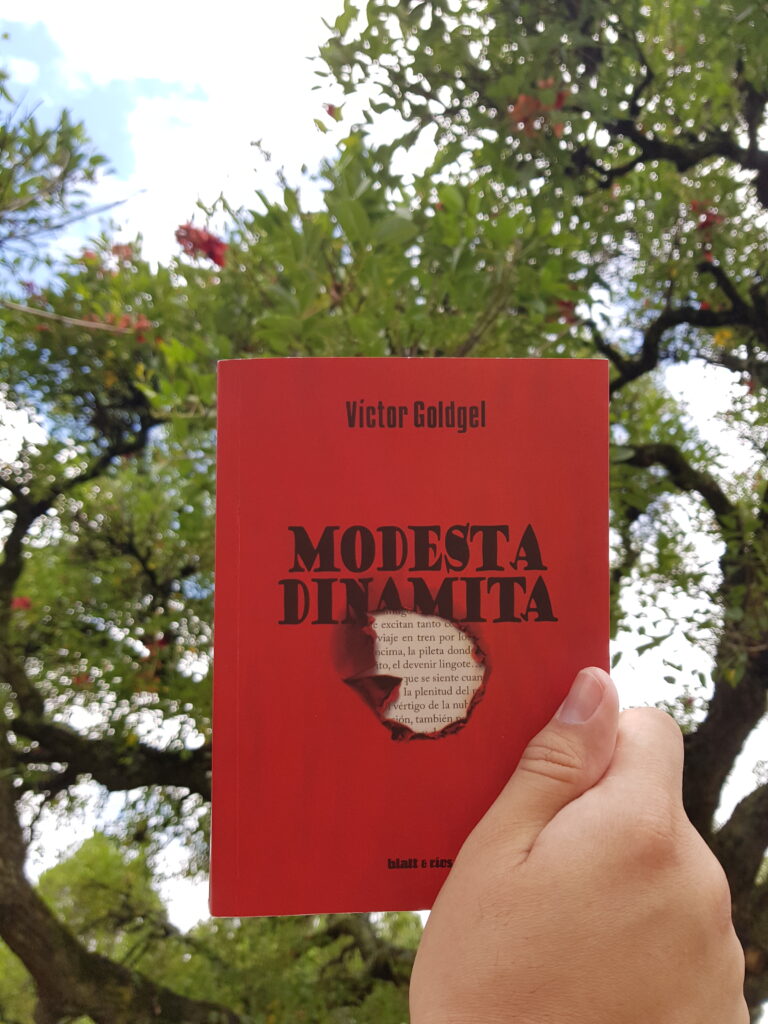 <span style='font-size:28px;'>Reseñas - Libros</span><br> Modesta dinamita, la vida de un joven anarquista